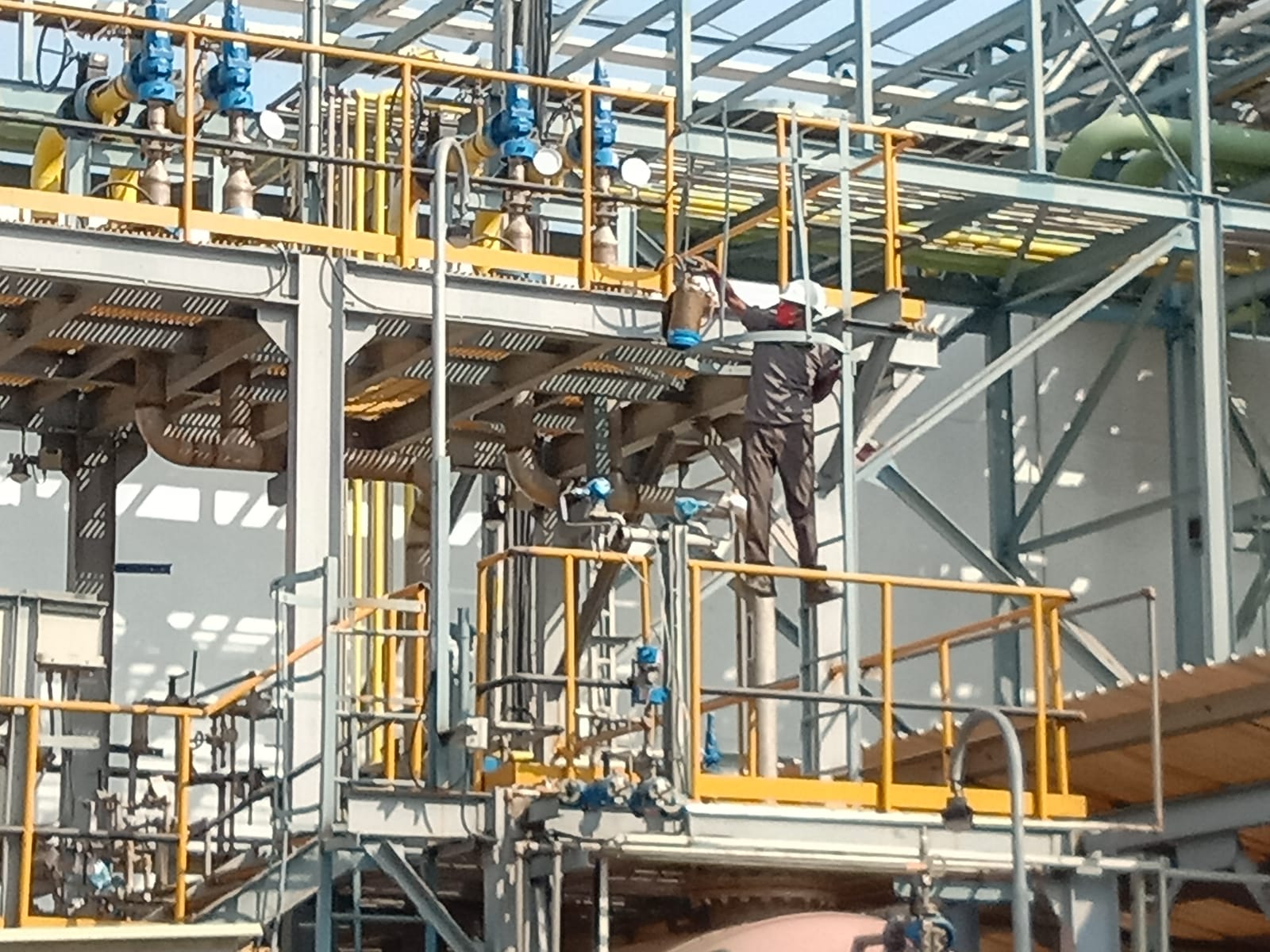 24x7PestManagementServices